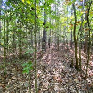 Photo #37 of SOLD property in Off Colonial Trail W, Spring Grove, VA 39.5 acres