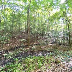 Photo #38 of SOLD property in Off Colonial Trail W, Spring Grove, VA 39.5 acres