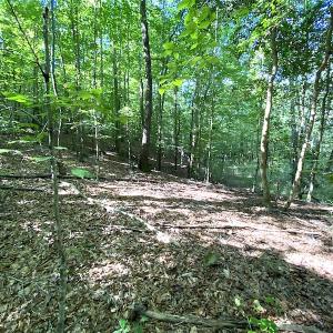 Photo #39 of SOLD property in Off Colonial Trail W, Spring Grove, VA 39.5 acres