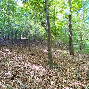 Photo #42 of Off Colonial Trail W, Spring Grove, VA 39.5 acres