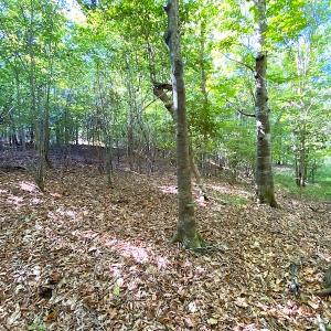 Photo #42 of SOLD property in Off Colonial Trail W, Spring Grove, VA 39.5 acres