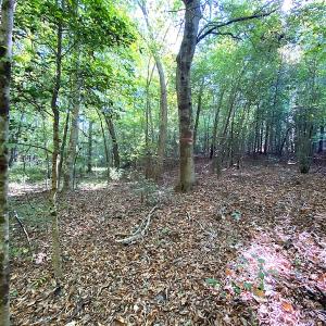 Photo #43 of SOLD property in Off Colonial Trail W, Spring Grove, VA 39.5 acres