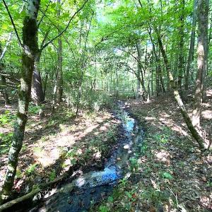 Photo #46 of SOLD property in Off Colonial Trail W, Spring Grove, VA 39.5 acres