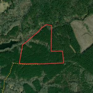 Photo #1 of SOLD property in Off Colonial Trail W, Spring Grove, VA 39.5 acres
