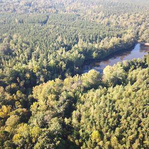 Photo #5 of SOLD property in Off Colonial Trail W, Spring Grove, NC 65.0 acres