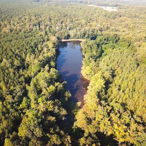 Photo #6 of SOLD property in Off Colonial Trail W, Spring Grove, NC 65.0 acres