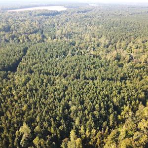 Photo #8 of SOLD property in Off Colonial Trail W, Spring Grove, NC 65.0 acres