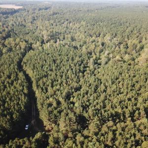 Photo #9 of SOLD property in Off Colonial Trail W, Spring Grove, NC 65.0 acres