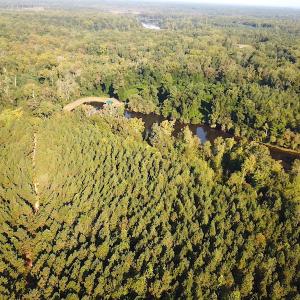 Photo #10 of SOLD property in Off Colonial Trail W, Spring Grove, NC 65.0 acres