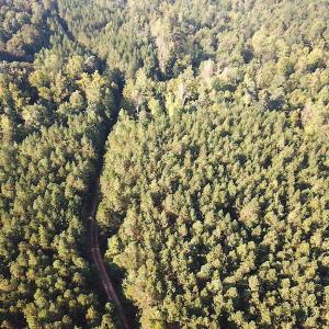 Photo #11 of SOLD property in Off Colonial Trail W, Spring Grove, NC 65.0 acres