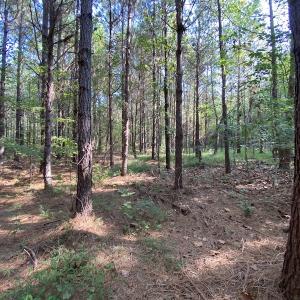 Photo #13 of Off Colonial Trail W, Spring Grove, NC 65.0 acres