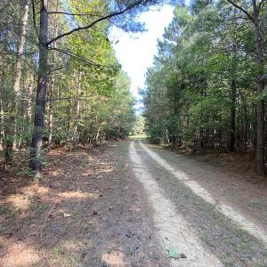 Photo #15 of SOLD property in Off Colonial Trail W, Spring Grove, NC 65.0 acres
