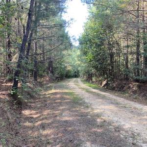 Photo #16 of SOLD property in Off Colonial Trail W, Spring Grove, NC 65.0 acres