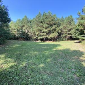 Photo #17 of Off Colonial Trail W, Spring Grove, NC 65.0 acres