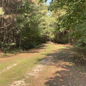Photo #19 of SOLD property in Off Colonial Trail W, Spring Grove, NC 65.0 acres