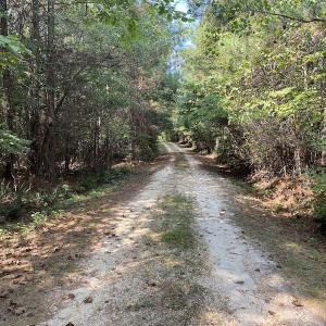 Photo #20 of SOLD property in Off Colonial Trail W, Spring Grove, NC 65.0 acres