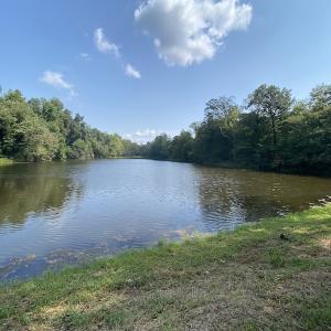 Photo #21 of SOLD property in Off Colonial Trail W, Spring Grove, NC 65.0 acres