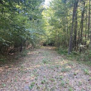 Photo #23 of SOLD property in Off Colonial Trail W, Spring Grove, NC 65.0 acres