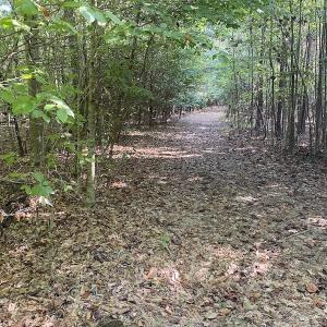 Photo #24 of SOLD property in Off Colonial Trail W, Spring Grove, NC 65.0 acres