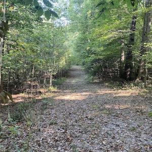 Photo #25 of SOLD property in Off Colonial Trail W, Spring Grove, NC 65.0 acres