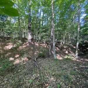 Photo #26 of SOLD property in Off Colonial Trail W, Spring Grove, NC 65.0 acres