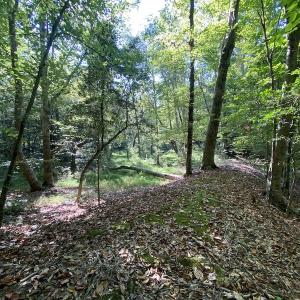 Photo #27 of Off Colonial Trail W, Spring Grove, NC 65.0 acres
