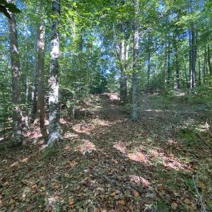 Photo #28 of Off Colonial Trail W, Spring Grove, NC 65.0 acres