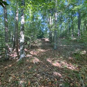 Photo #28 of SOLD property in Off Colonial Trail W, Spring Grove, NC 65.0 acres