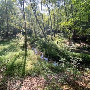 Photo #29 of SOLD property in Off Colonial Trail W, Spring Grove, NC 65.0 acres