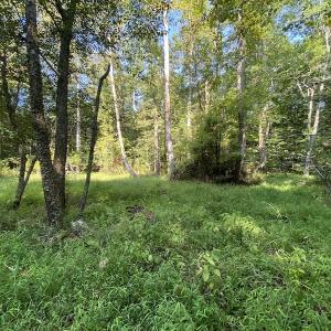 Photo #31 of SOLD property in Off Colonial Trail W, Spring Grove, NC 65.0 acres