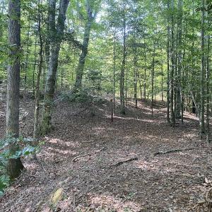 Photo #33 of SOLD property in Off Colonial Trail W, Spring Grove, NC 65.0 acres