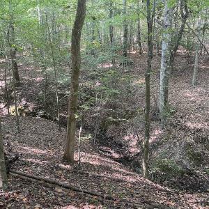 Photo #35 of SOLD property in Off Colonial Trail W, Spring Grove, NC 65.0 acres