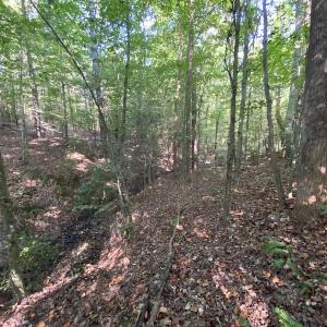 Photo #36 of Off Colonial Trail W, Spring Grove, NC 65.0 acres