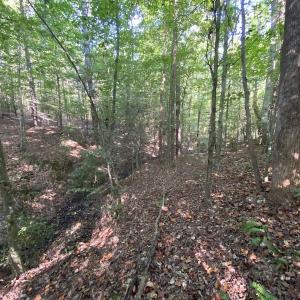 Photo #36 of SOLD property in Off Colonial Trail W, Spring Grove, NC 65.0 acres