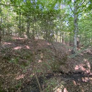 Photo #37 of Off Colonial Trail W, Spring Grove, NC 65.0 acres