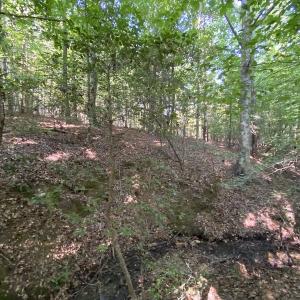 Photo #37 of SOLD property in Off Colonial Trail W, Spring Grove, NC 65.0 acres