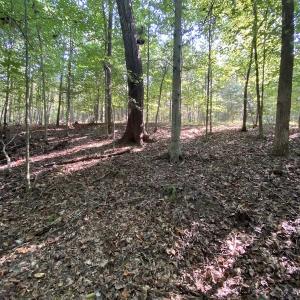 Photo #38 of SOLD property in Off Colonial Trail W, Spring Grove, NC 65.0 acres