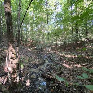 Photo #39 of Off Colonial Trail W, Spring Grove, NC 65.0 acres