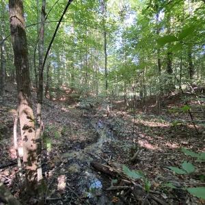 Photo #39 of SOLD property in Off Colonial Trail W, Spring Grove, NC 65.0 acres