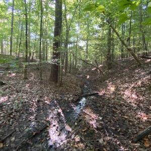 Photo #40 of SOLD property in Off Colonial Trail W, Spring Grove, NC 65.0 acres