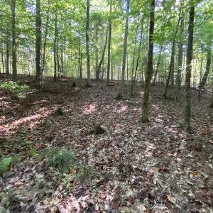 Photo #41 of SOLD property in Off Colonial Trail W, Spring Grove, NC 65.0 acres