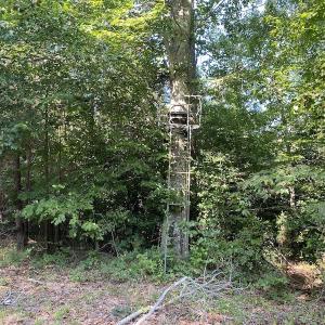 Photo #43 of SOLD property in Off Colonial Trail W, Spring Grove, NC 65.0 acres
