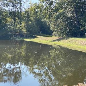 Photo #45 of SOLD property in Off Colonial Trail W, Spring Grove, NC 65.0 acres