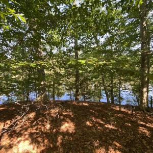 Photo #46 of SOLD property in Off Colonial Trail W, Spring Grove, NC 65.0 acres