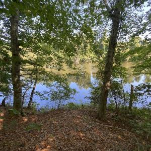 Photo #47 of Off Colonial Trail W, Spring Grove, NC 65.0 acres