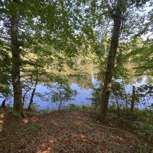 Photo #47 of SOLD property in Off Colonial Trail W, Spring Grove, NC 65.0 acres