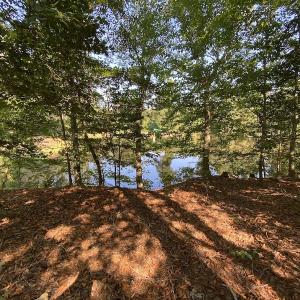 Photo #48 of Off Colonial Trail W, Spring Grove, NC 65.0 acres