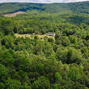 Photo #26 of SOLD property in 524 Lobo Lane, Arrington, VA 64.8 acres