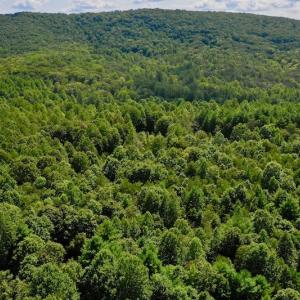 Photo #27 of SOLD property in 524 Lobo Lane, Arrington, VA 64.8 acres