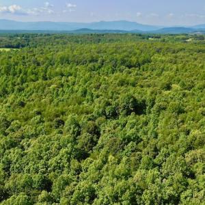Photo #28 of SOLD property in 524 Lobo Lane, Arrington, VA 64.8 acres